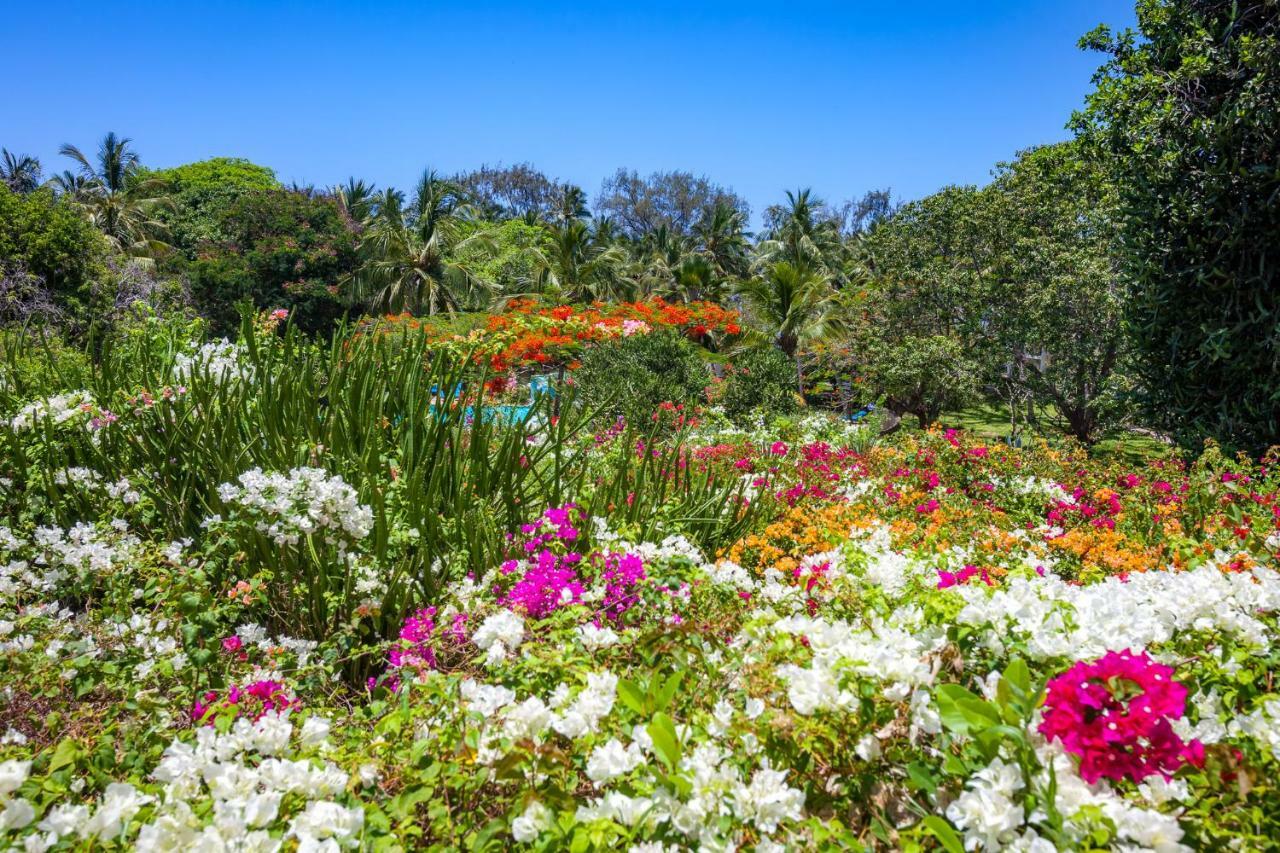 Diani Sea Resort Diani Beach Εξωτερικό φωτογραφία